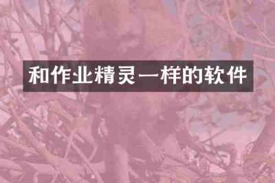 和作业精灵一样的软件