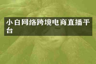 小白网络跨境电商直播平台