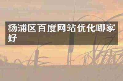 杨浦区百度网站优化哪家好
