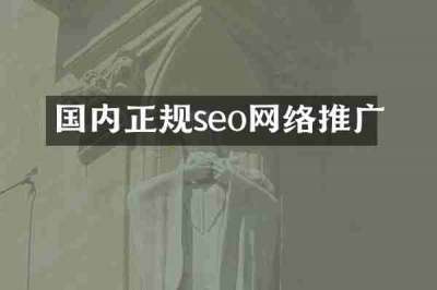 国内正规seo网络推广