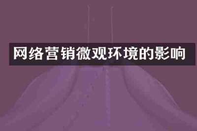 网络营销微观环境的影响