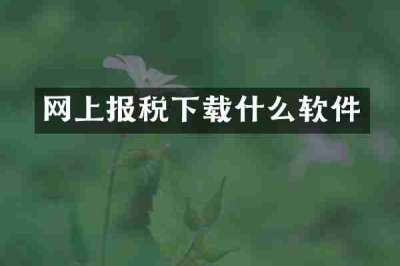 网上报税下载什么软件