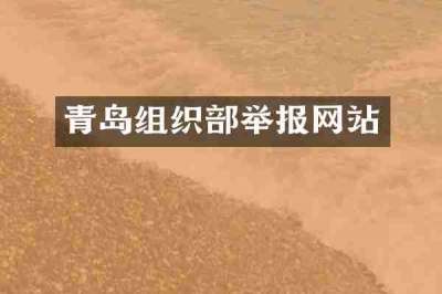 青岛组织部举报网站