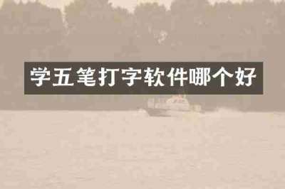 学五笔打字软件哪个好