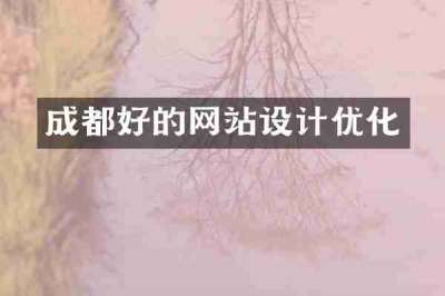 成都好的网站设计优化