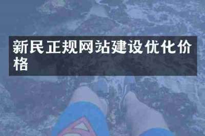 新民正规网站建设优化价格