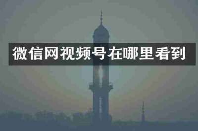 微信网视频号在哪里看到