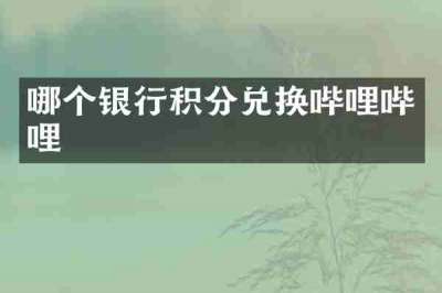 哪个银行积分兑换哔哩哔哩