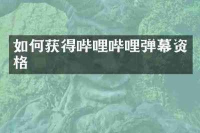 如何获得哔哩哔哩弹幕资格