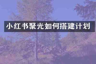 小红书聚光如何搭建计划