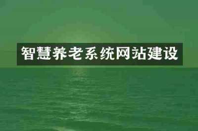 智慧养老系统网站建设