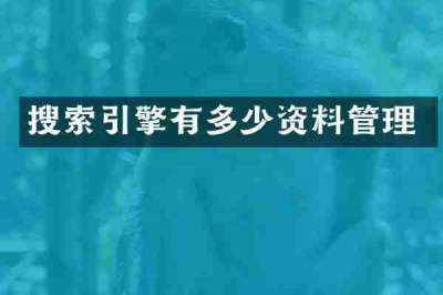 搜索引擎有多少资料管理