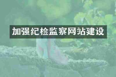 加强纪检监察网站建设