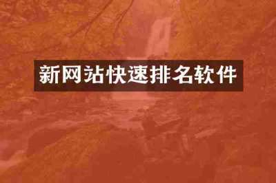 新网站快速排名软件