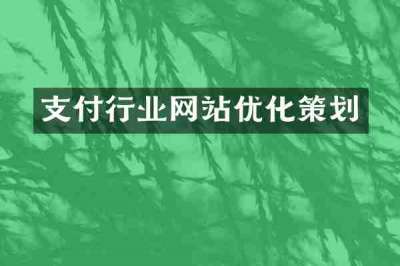 支付行业网站优化策划