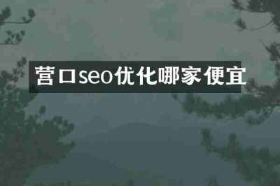 营口seo优化哪家便宜