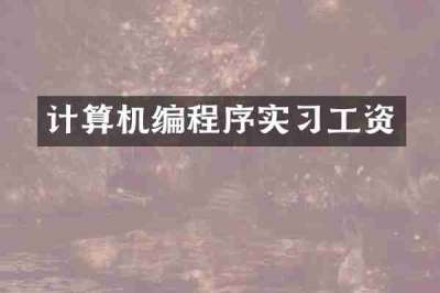 计算机编程序实习工资