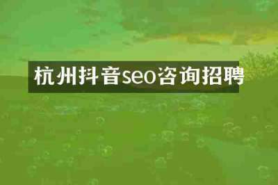 杭州抖音seo咨询招聘