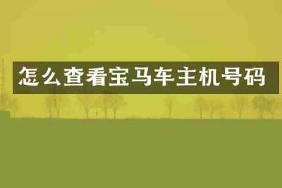 怎么查看宝马车主机号码