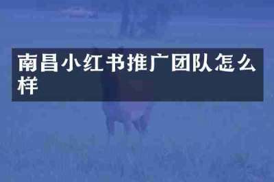 南昌小红书推广团队怎么样