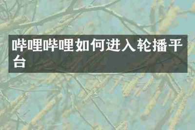 哔哩哔哩如何进入轮播平台