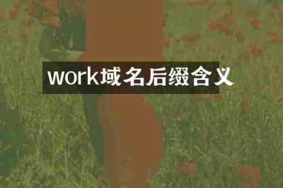 work域名后缀含义