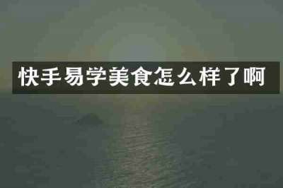 快手易学美食怎么样了啊