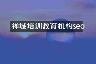 禅城培训教育机构seo