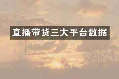 直播带货三大平台数据