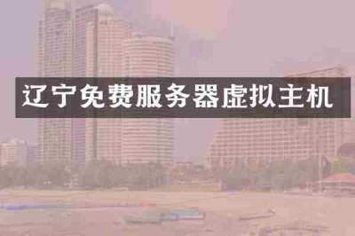 辽宁免费服务器虚拟主机