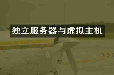 独立服务器与虚拟主机