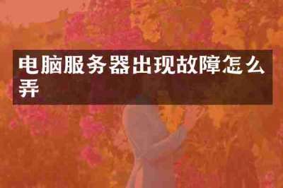 电脑服务器出现故障怎么弄