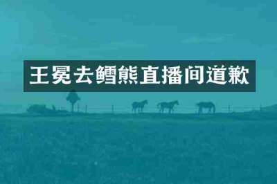 王冕去鳕熊直播间道歉