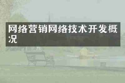网络营销网络技术开发概况