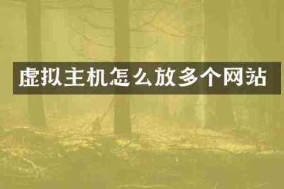 虚拟主机怎么放多个网站
