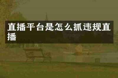 直播平台是怎么抓违规直播