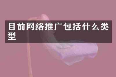 目前网络推广包括什么类型