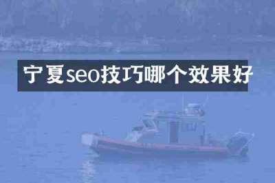 宁夏seo技巧哪个效果好