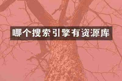 哪个搜索引擎有资源库