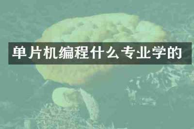 单片机编程什么专业学的