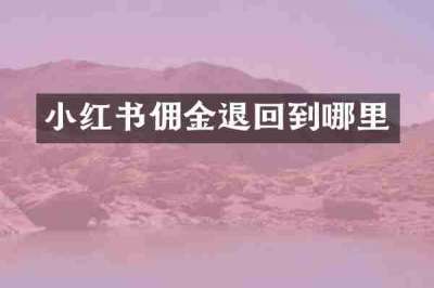 小红书佣金退回到哪里