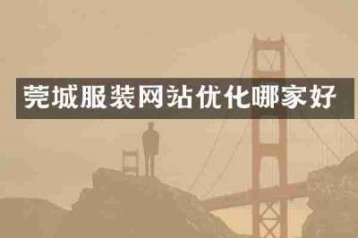 莞城服装网站优化哪家好