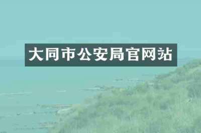 大同市公安局官网站
