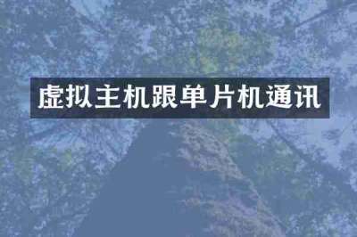 虚拟主机跟单片机通讯