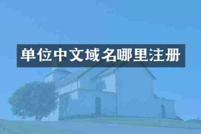 单位中文域名哪里注册