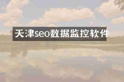 天津seo数据监控软件