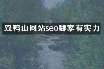 双鸭山网站seo哪家有实力