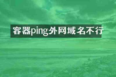 容器ping外网域名不行