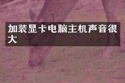 加装显卡电脑主机声音很大
