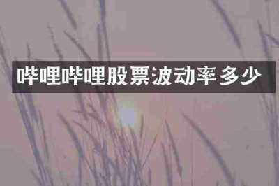 哔哩哔哩股票波动率多少